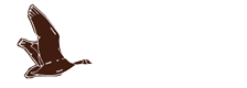 Isher Immigration